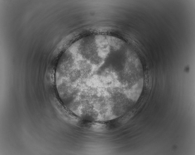 X0000115490718200912041015