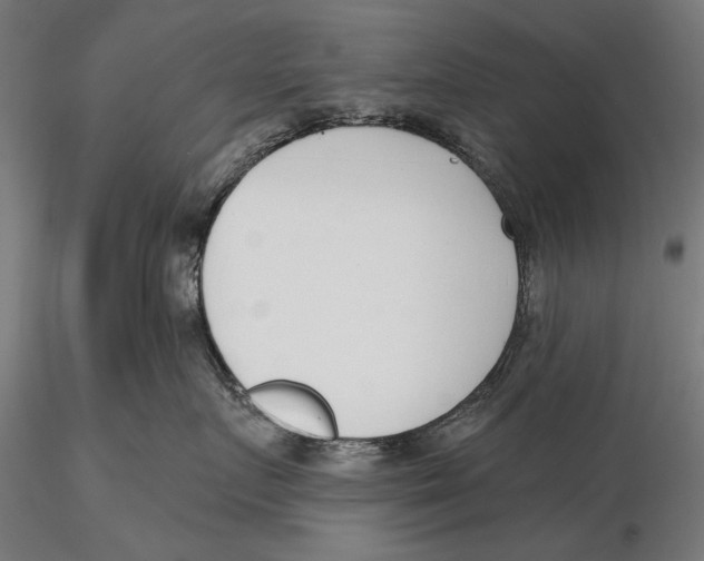 X0000115490719200912041015