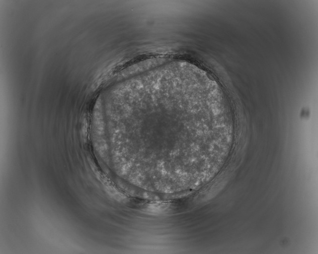 X0000115490720200912041015