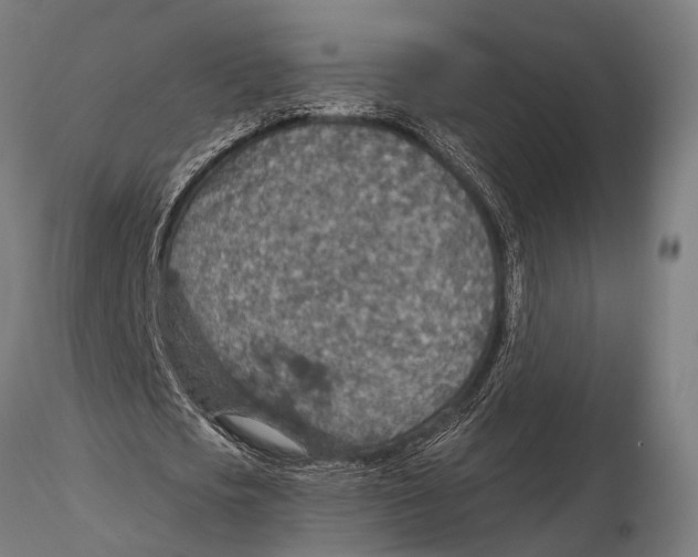 X0000115490721200912041015