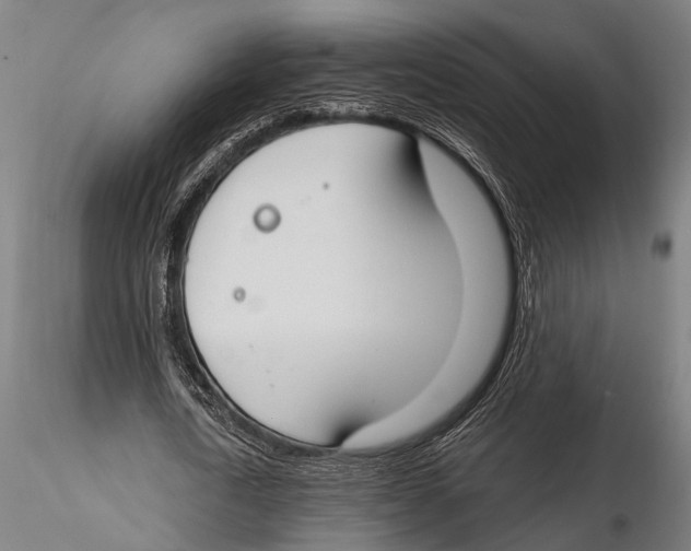 X0000115490722200912041015