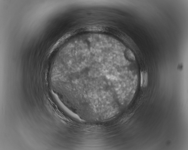 X0000115490723200912041015