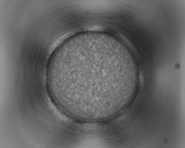 X0000115490725200912041015