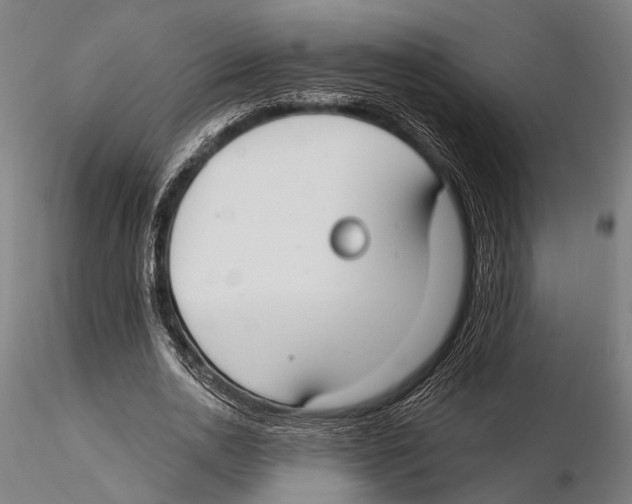 X0000115490726200912041015