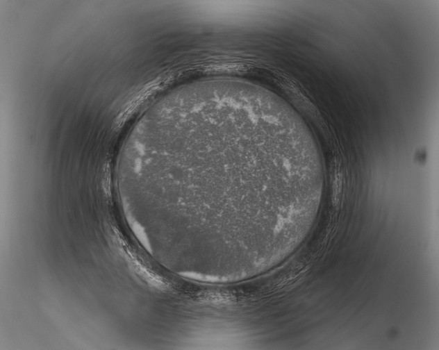 X0000115490729200912041015
