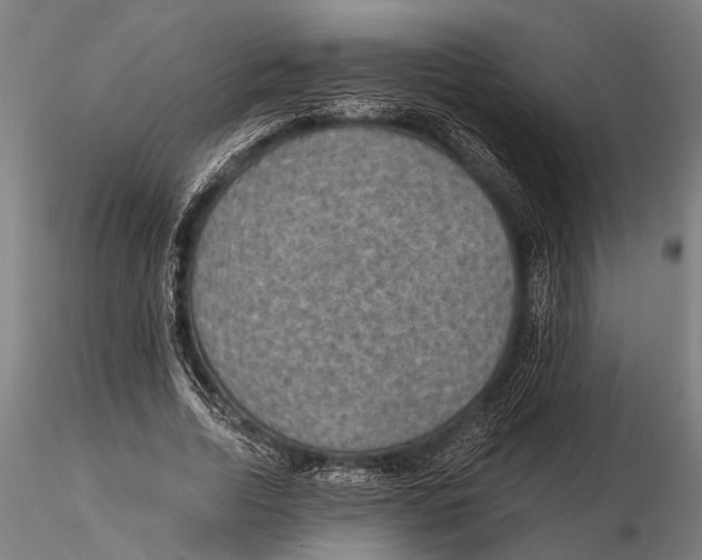 X0000115490730200912041015