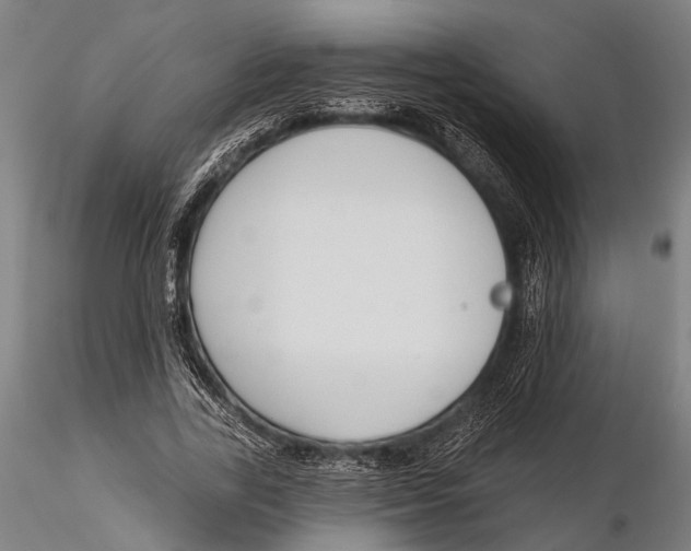X0000115490731200912041015