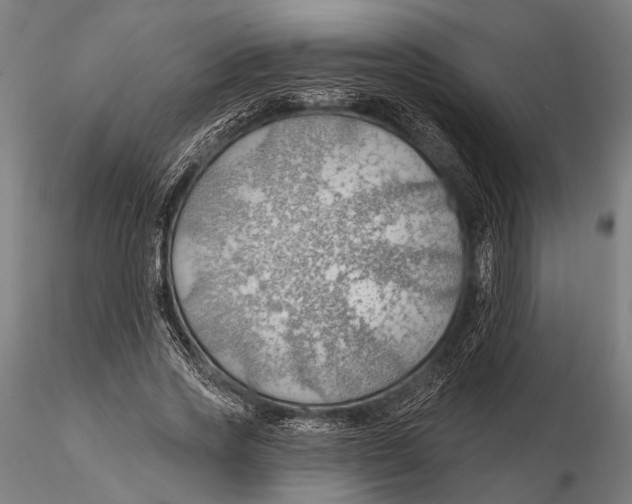 X0000115490733200912041015