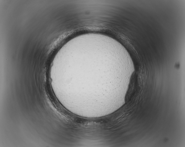 X0000115490734200912041015