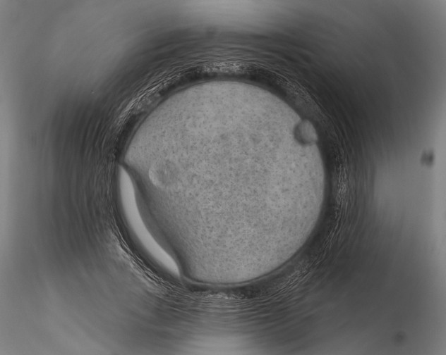 X0000115490735200912041015