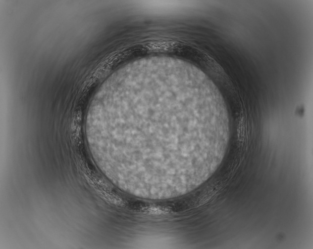 X0000115490737200912041015