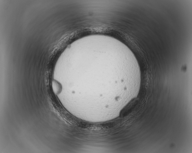 X0000115490738200912041015