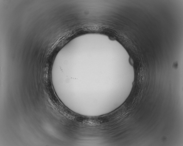 X0000115490739200912041015