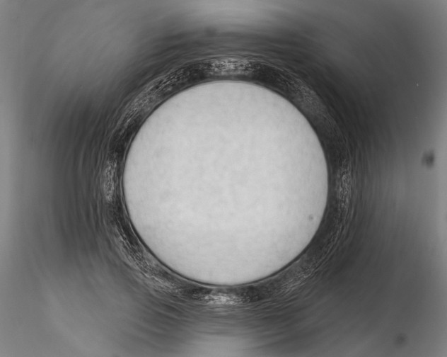 X0000115490741200912041015