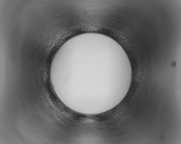 X0000115490743200912041015