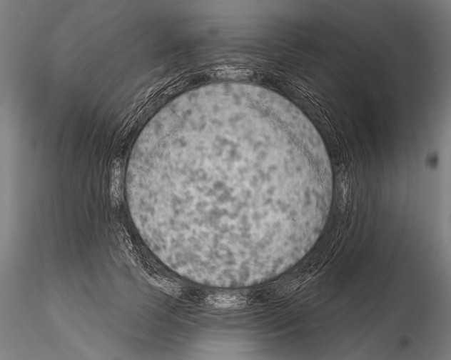 X0000115490745200912041015