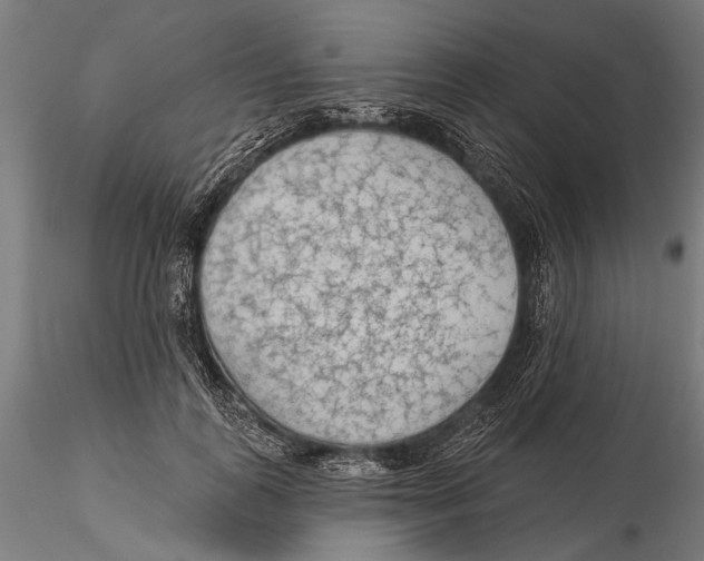 X0000115490747200912041015