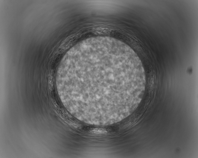 X0000115490749200912041015