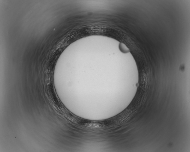X0000115490751200912041015