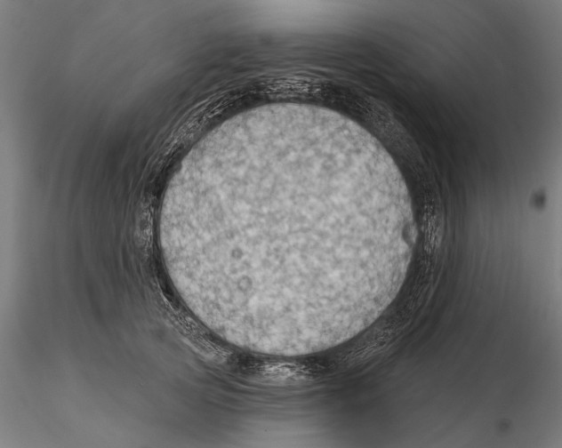 X0000115490753200912041015