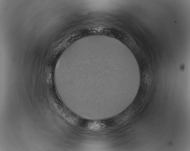 X0000115490754200912041015