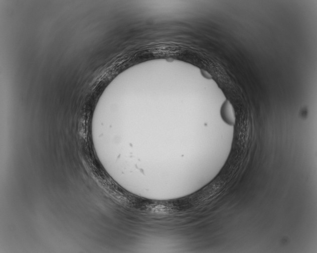 X0000115490755200912041015