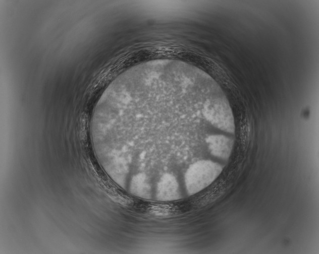 X0000115490757200912041015
