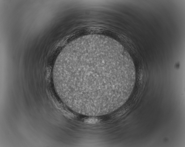 X0000115490759200912041015