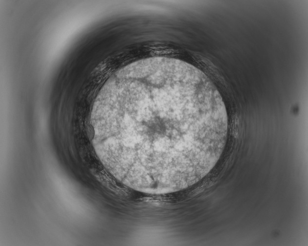 X0000115490763200912041015