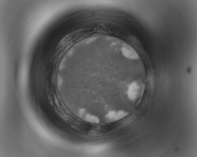 X0000115490765200912041015