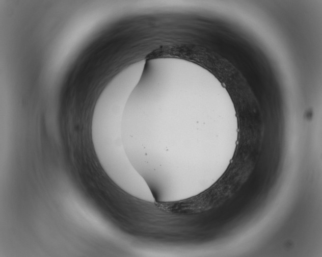 X0000115490766200912041015