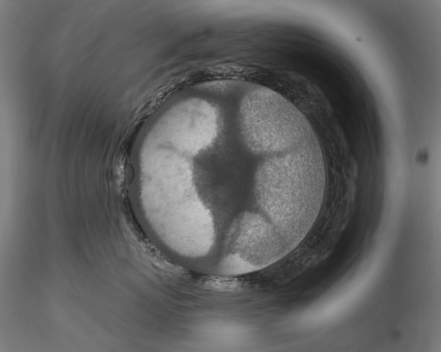 X0000115490767200912041015