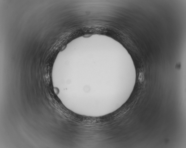 X0000115490771200912041015