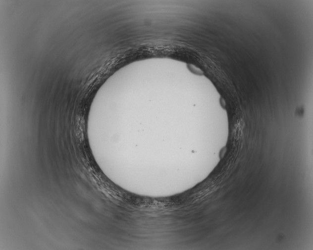 X0000115490772200912041015
