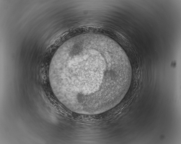 X0000115490774200912041015