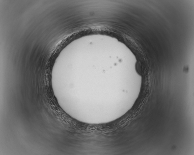 X0000115490776200912041014