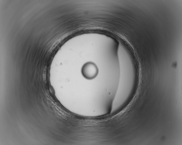 X0000115490777200912041014