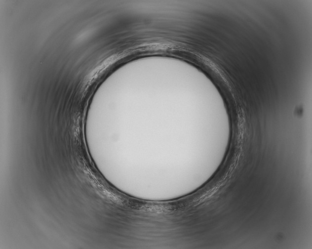 X0000115490778200912041014