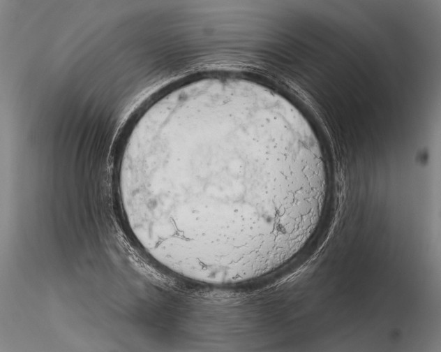 X0000115490779200912041014