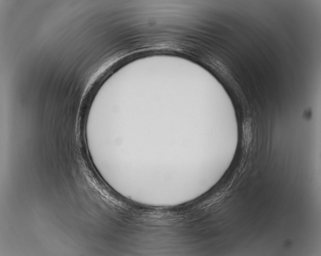 X0000115490780200912041014