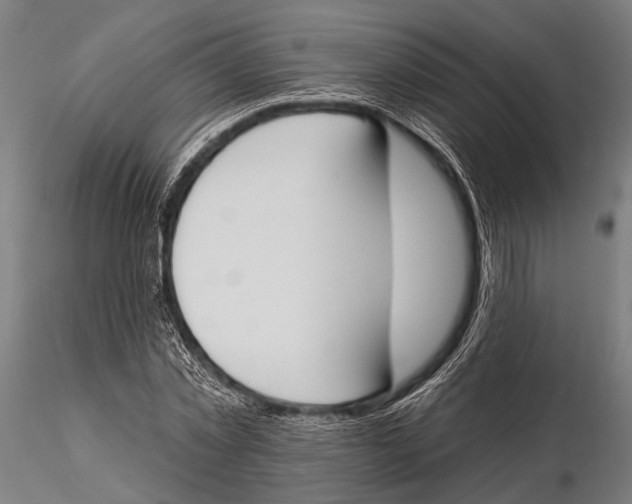 X0000115490781200912041014