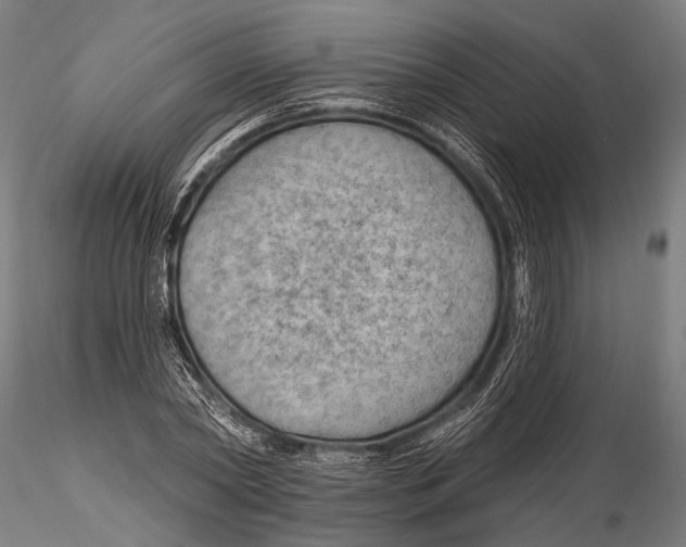 X0000115490782200912041014