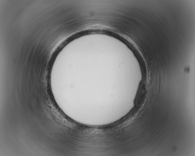 X0000115490783200912041014