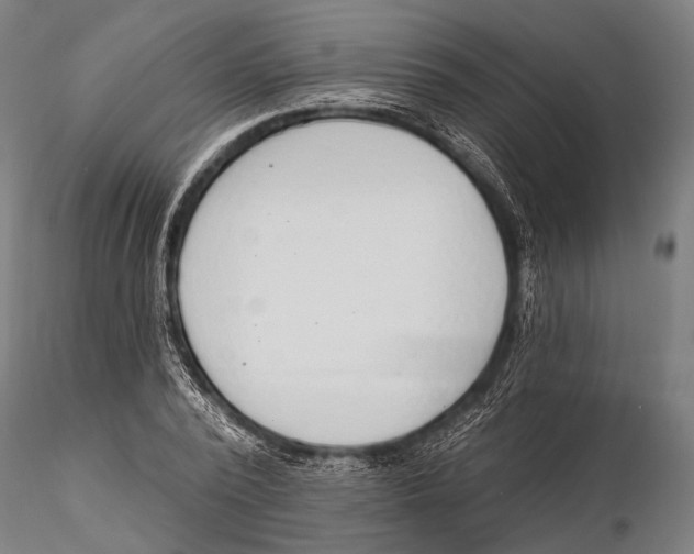 X0000115490784200912041014
