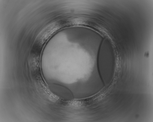 X0000115490785200912041014