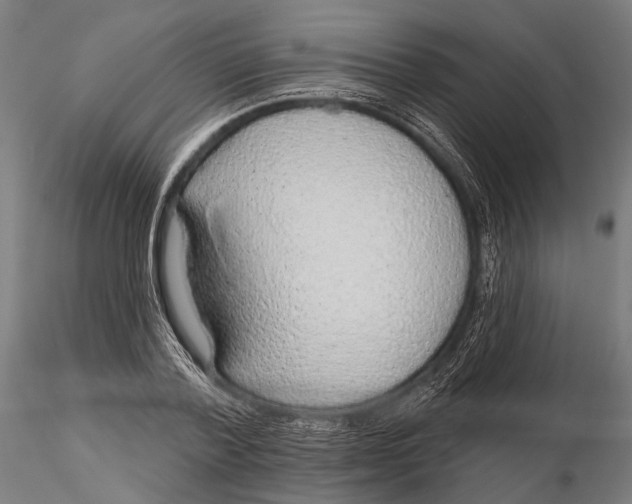 X0000115490788200912041014