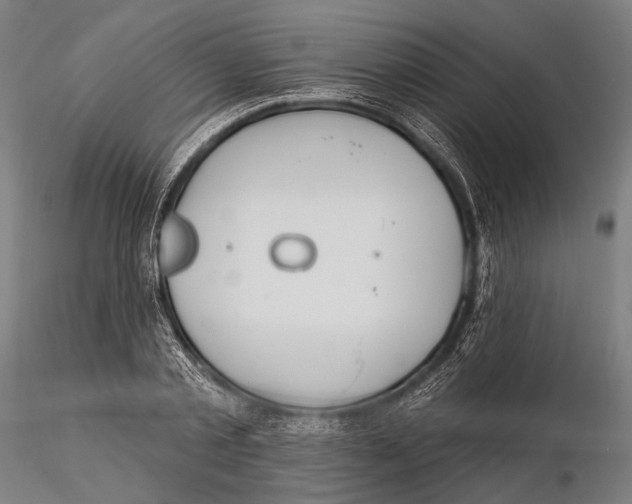 X0000115490789200912041014