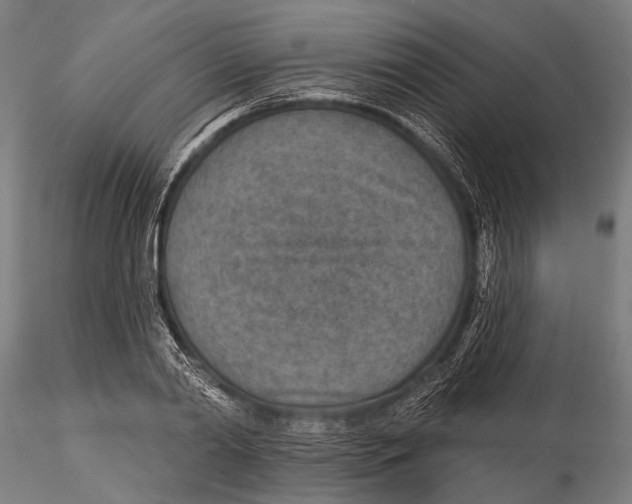 X0000115490790200912041014