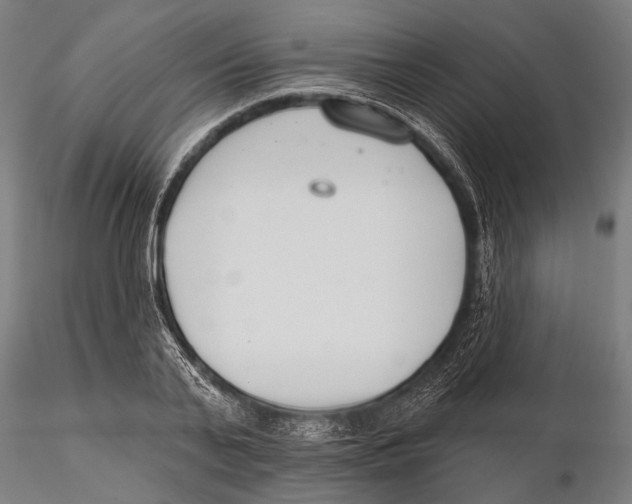 X0000115490791200912041014