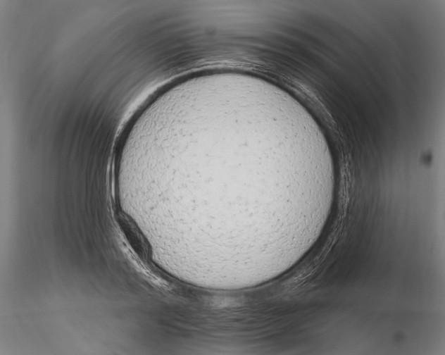 X0000115490796200912041014